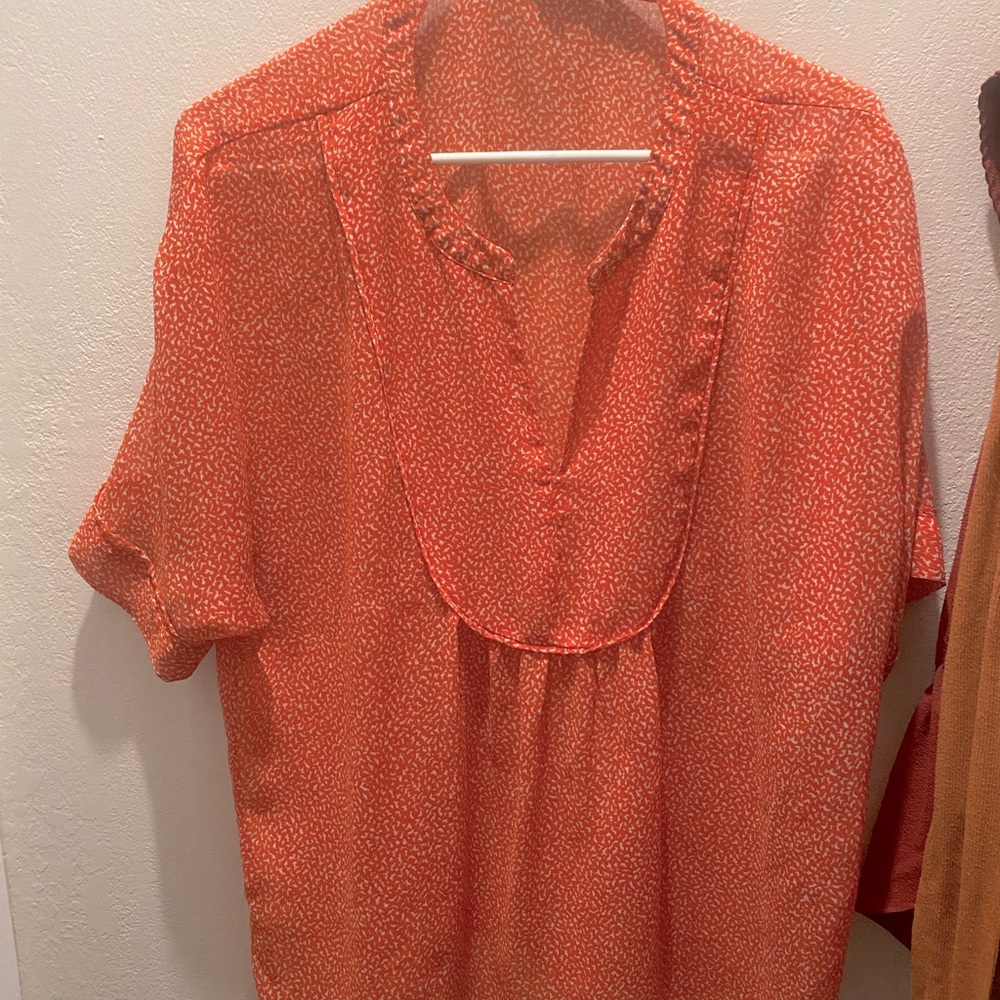 Sheer Blouse